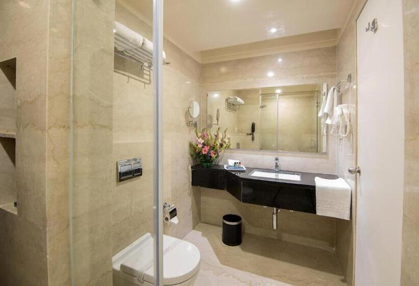 اتاق استاندارد, Ziona Luxurious