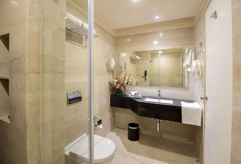 اتاق اجرایی سه نفره, Ziona Luxurious