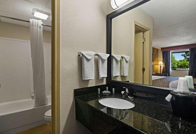 Стандартный Номер Кровать Кинг, Best Western Windsor Suites