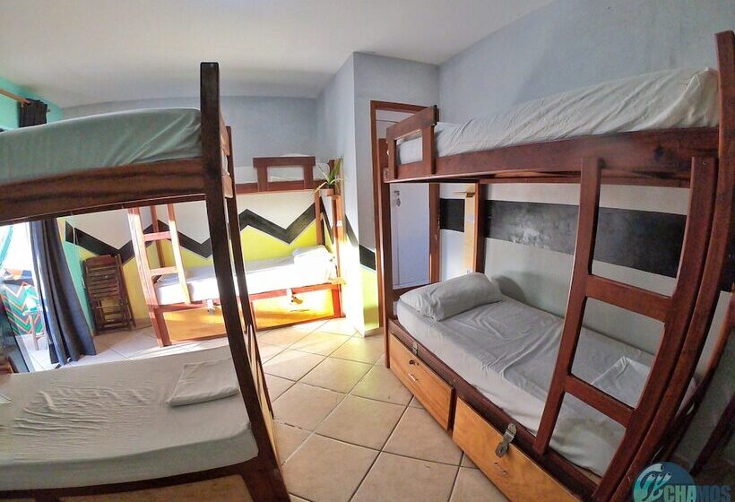 Кровать в Общей Комнате, Chamos Hostel Cultural