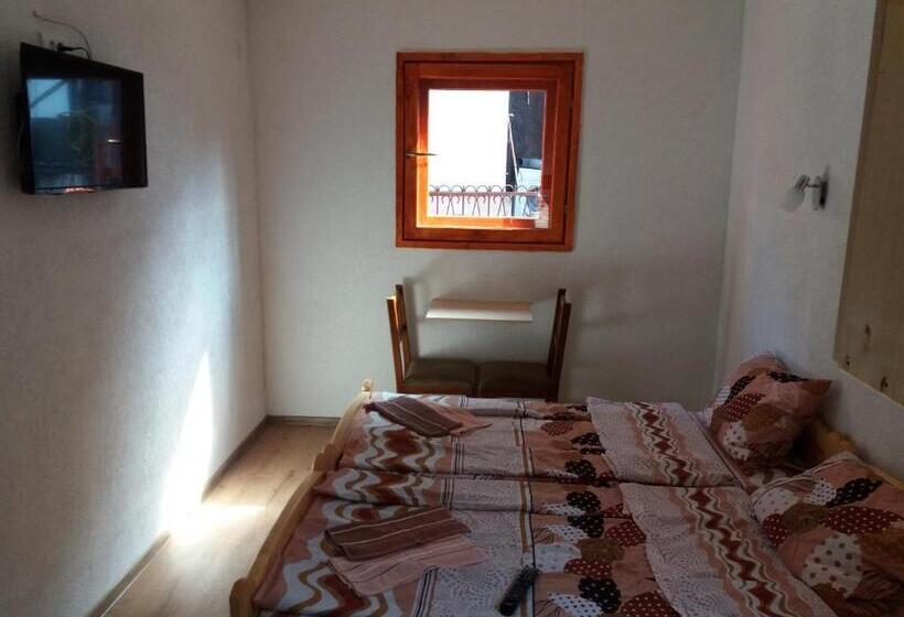 استودیوی استاندارد, Guest House Vukicevic