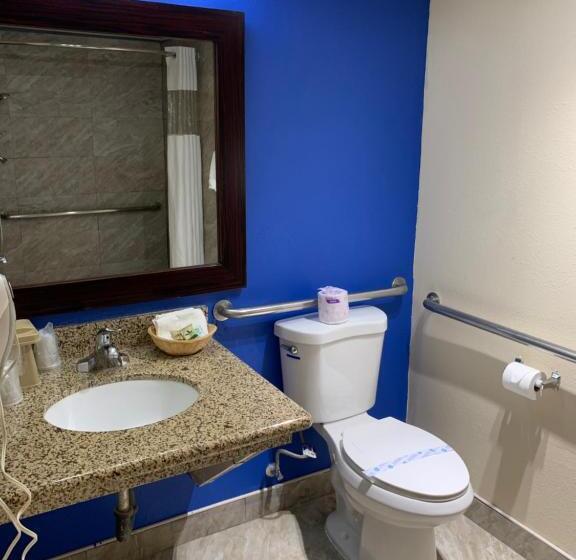 장애인을 위한 스탠다드 룸, California Inn And Suites Bakersfield