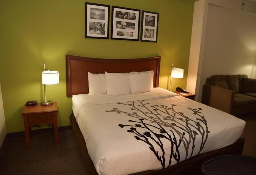 장애인을 위한 킹사이즈 침대 스탠다드 룸, Sleep Inn & Suites