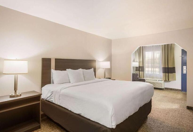 带大床的套房, Clarion Pointe Forsyth I75
