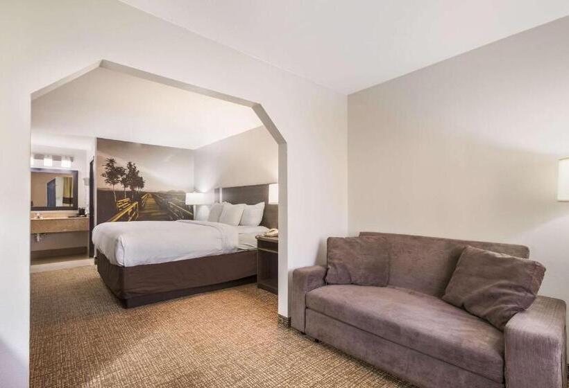 스위트 킹사이즈 침대, Clarion Pointe Forsyth I75