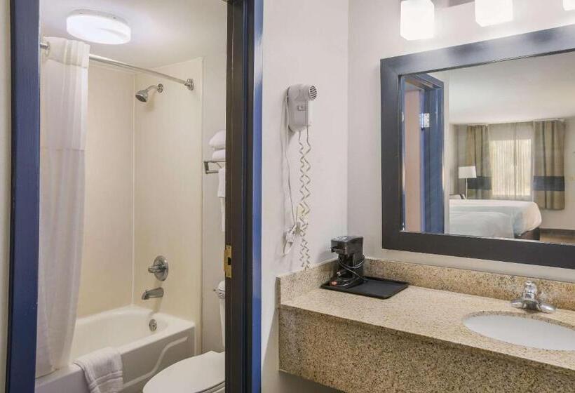 带大床的套房, Clarion Pointe Forsyth I75
