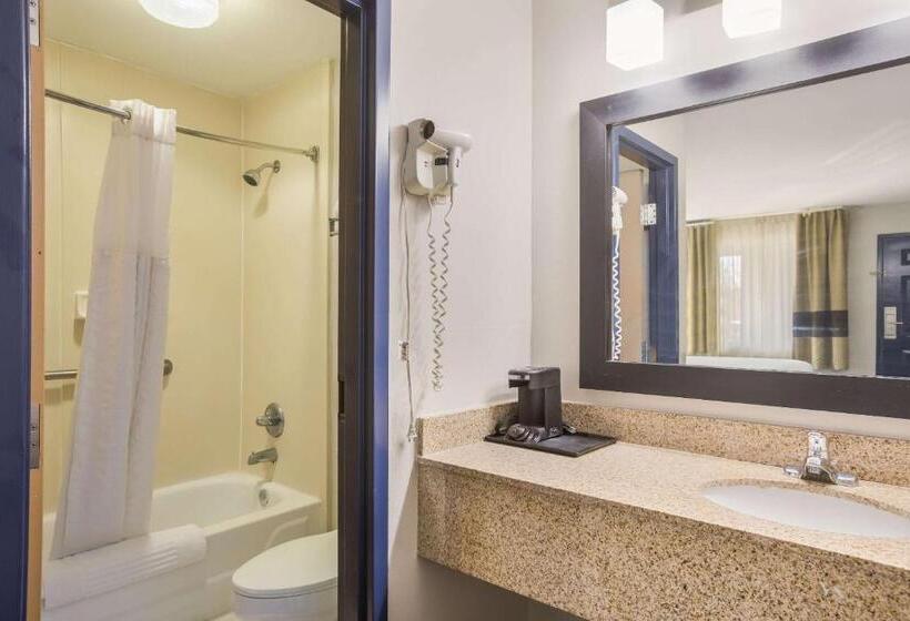 스위트 킹사이즈 침대, Clarion Pointe Forsyth I75