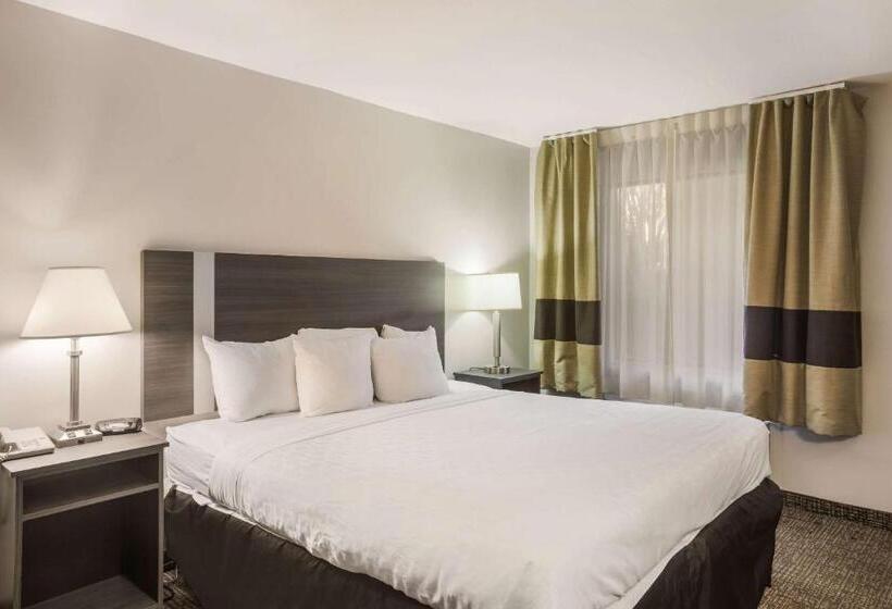 带大床的套房, Clarion Pointe Forsyth I75