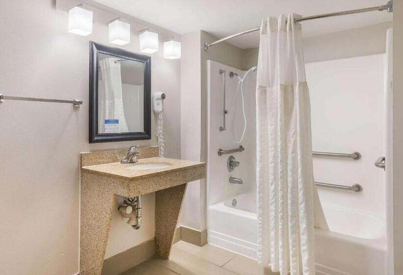 장애인을 위한 킹사이즈 침대 스탠다드 룸, Clarion Pointe Forsyth I75