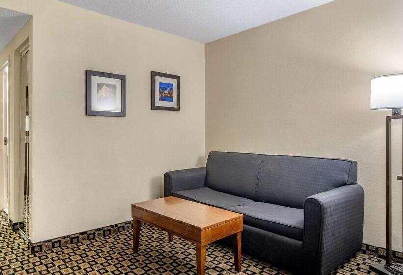 キングサイズベッドのスイートルーム, Comfort Inn & Suites