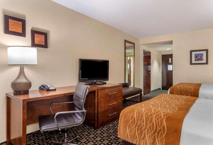 スタンダードルーム, Comfort Inn & Suites