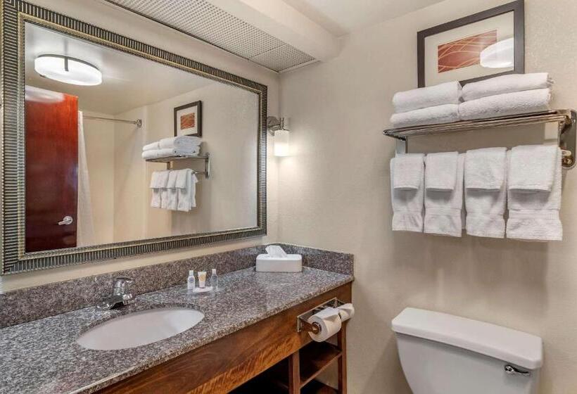 スタンダードルーム, Comfort Inn & Suites