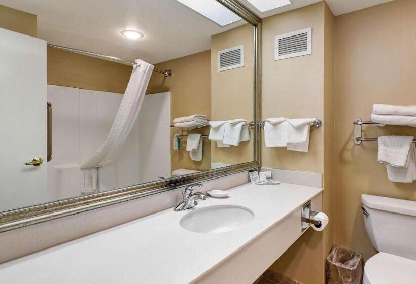 اتاق استاندارد با تخت بزرگ, Comfort Inn Bellingham