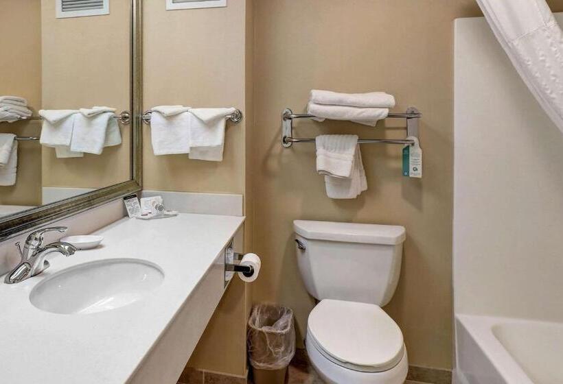 اتاق استاندارد با تخت بزرگ, Comfort Inn Bellingham
