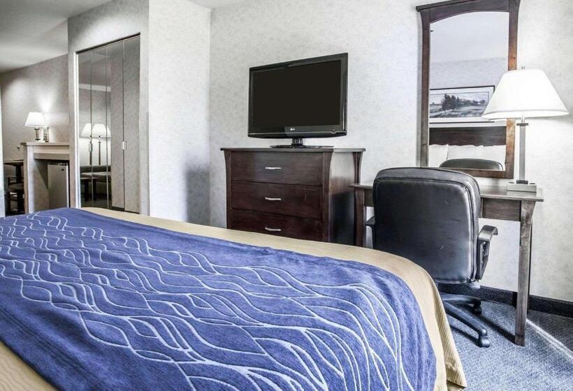 اتاق استاندارد با تخت بزرگ, Comfort Inn Bellingham