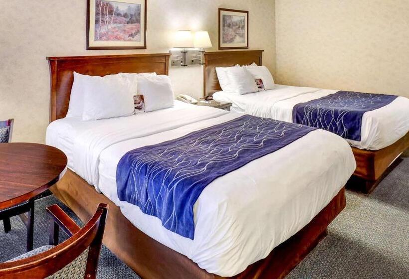 اتاق استاندارد, Comfort Inn Bellingham