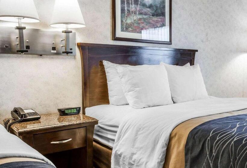 اتاق استاندارد, Comfort Inn Bellingham