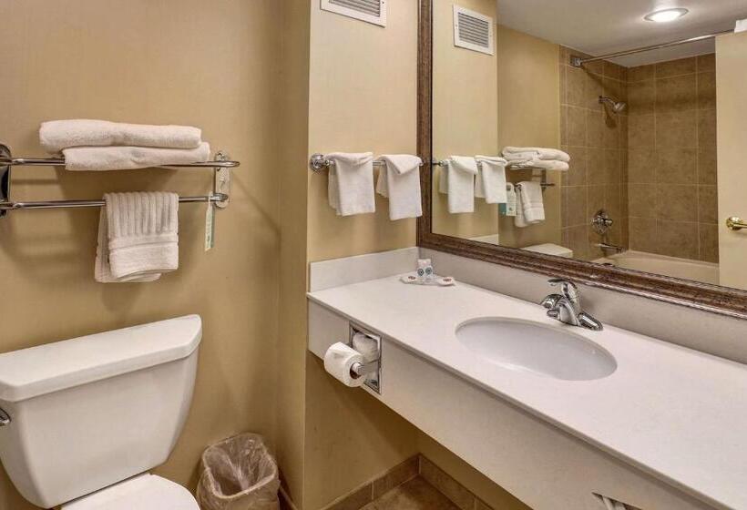 سوئیت با تخت بزرگ, Comfort Inn Bellingham