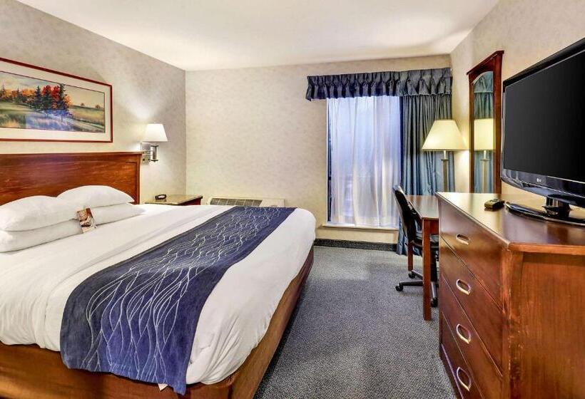 سوئیت با تخت بزرگ, Comfort Inn Bellingham
