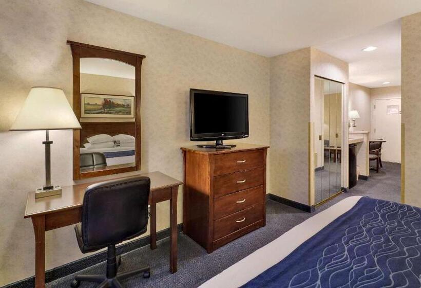 سوئیت با تخت بزرگ, Comfort Inn Bellingham