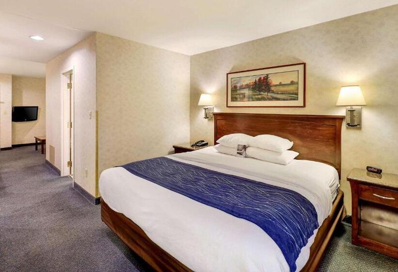 سوئیت با تخت بزرگ, Comfort Inn Bellingham