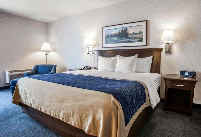 سوئیت با تخت بزرگ, Comfort Inn Bellingham