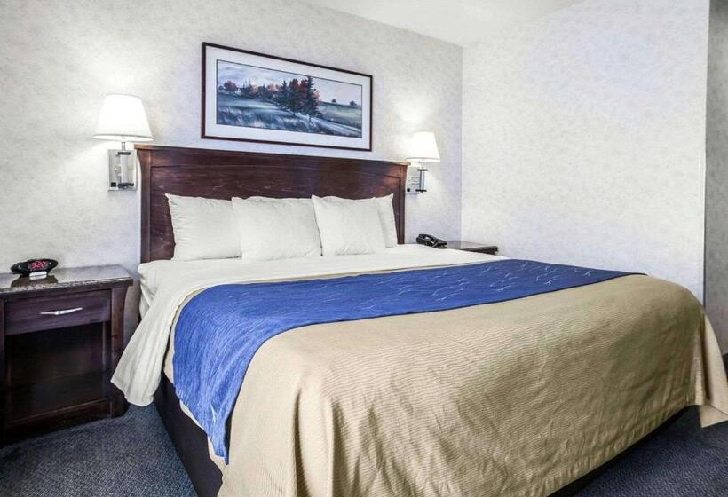 اتاق استاندارد با تخت بزرگ برای معلولان, Comfort Inn Bellingham