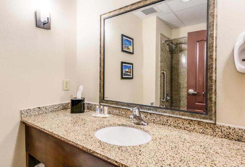 Люкс Кровать Кинг, Comfort Suites Fort Stockton
