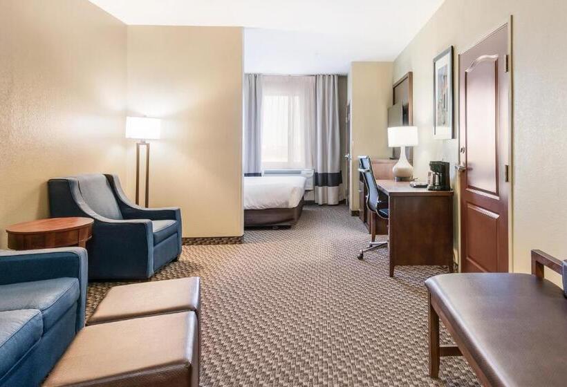 Люкс Адаптированный для Инвалидов, Comfort Suites Fort Stockton