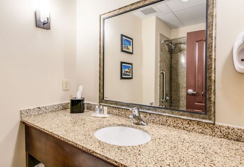 Люкс, Comfort Suites Fort Stockton