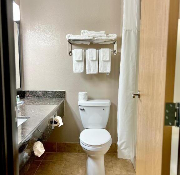 Стандартный Номер Кровать Кинг, Quality Inn & Suites Wisconsin Dells Downtown   Waterparks Area