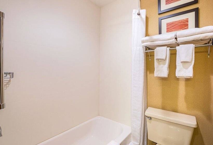 Номер Стандарт 2 Двуспальные Кровати, Quality Inn