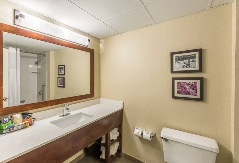 اتاق استاندارد, Comfort Inn Charlotte Airport Uptown