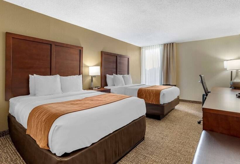 اتاق استاندارد, Comfort Inn Charlotte Airport Uptown