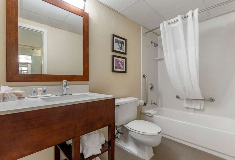 اتاق استاندارد, Comfort Inn Charlotte Airport Uptown