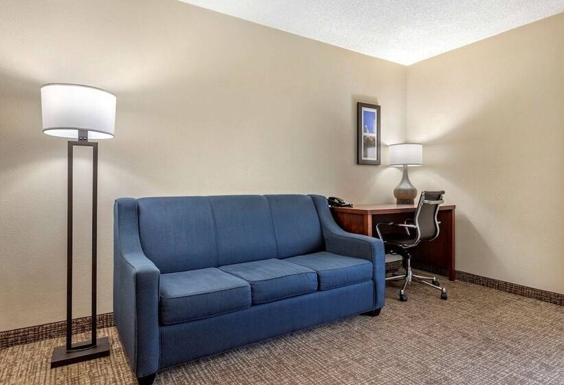 اتاق استاندارد, Comfort Inn Charlotte Airport Uptown