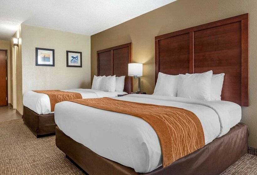 اتاق استاندارد, Comfort Inn Charlotte Airport Uptown