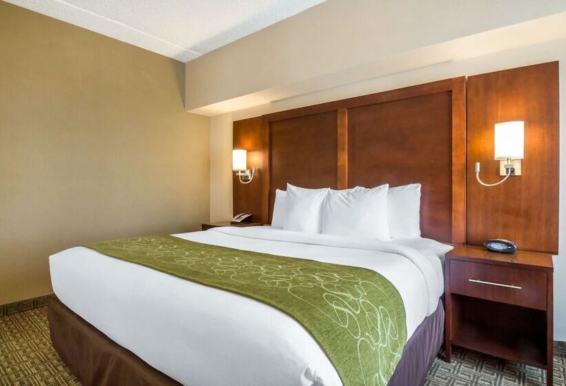 스위트, Comfort Suites At Woodbridge
