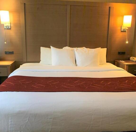 سوئیت با تخت بزرگ, Comfort Suites Bush Intercontinental Airport