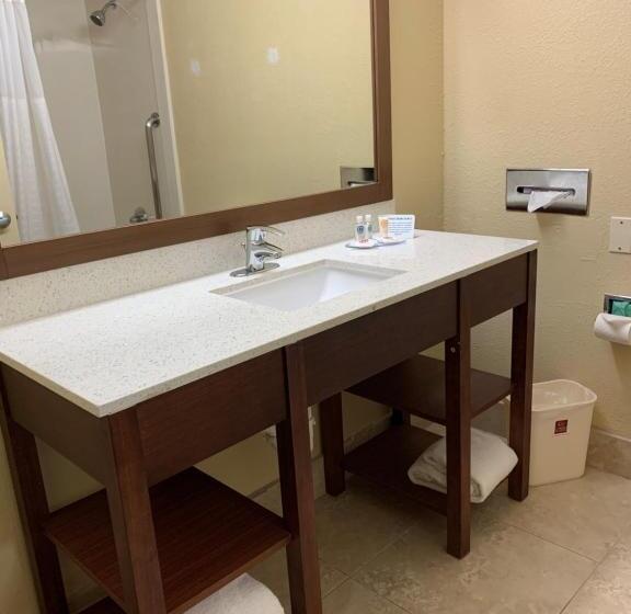 Suite King Bed, Comfort Suites Bush Intercontinental Airport
