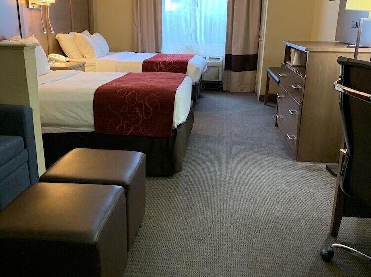 سوییت, Comfort Suites Bush Intercontinental Airport