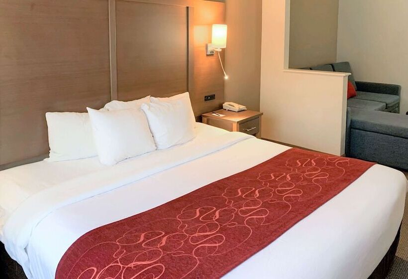 سوییت, Comfort Suites Bush Intercontinental Airport