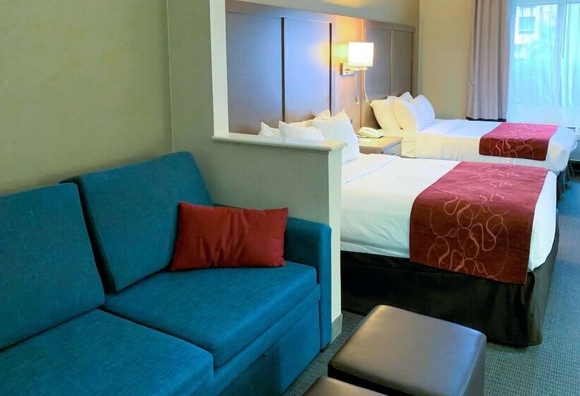 سوئیت برای معلولان, Comfort Suites Bush Intercontinental Airport