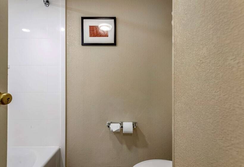 سوییت, Comfort Suites Bethlehem Near Lehigh University And Lvi Airport