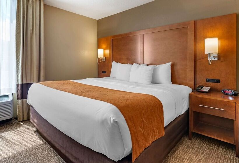 سوییت, Comfort Suites Bethlehem Near Lehigh University And Lvi Airport