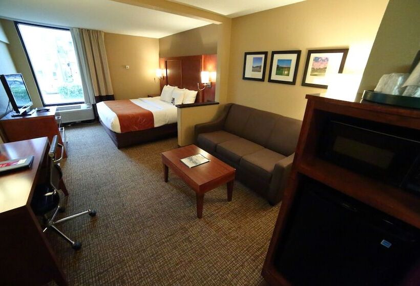 سوییت, Comfort Suites Bethlehem Near Lehigh University And Lvi Airport
