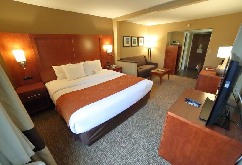 سوییت, Comfort Suites Bethlehem Near Lehigh University And Lvi Airport