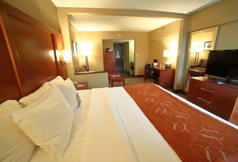 سوییت, Comfort Suites Bethlehem Near Lehigh University And Lvi Airport
