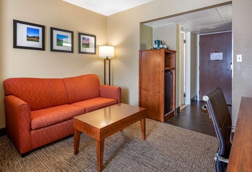 سوییت, Comfort Suites Bethlehem Near Lehigh University And Lvi Airport