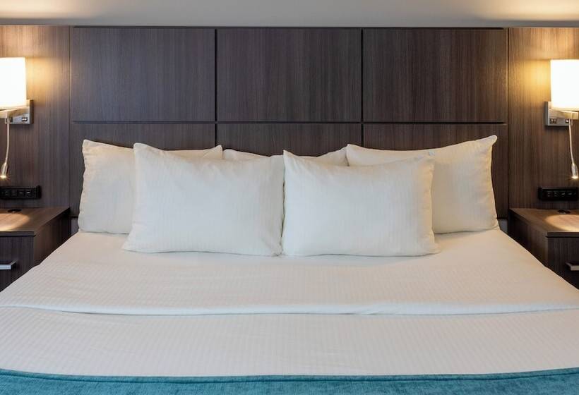 Люкс, Paynesville Inn & Suites